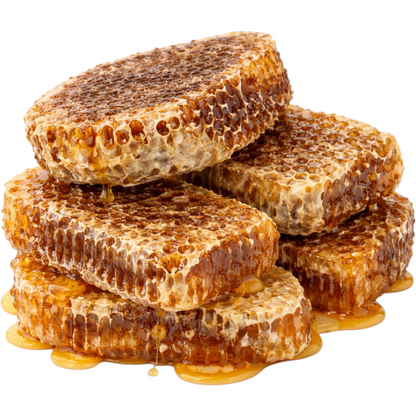 الشهدة البلدية